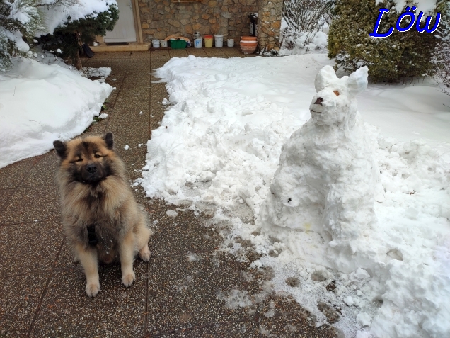 22.1.2023 - Dwix hat haben einen neuen Freund